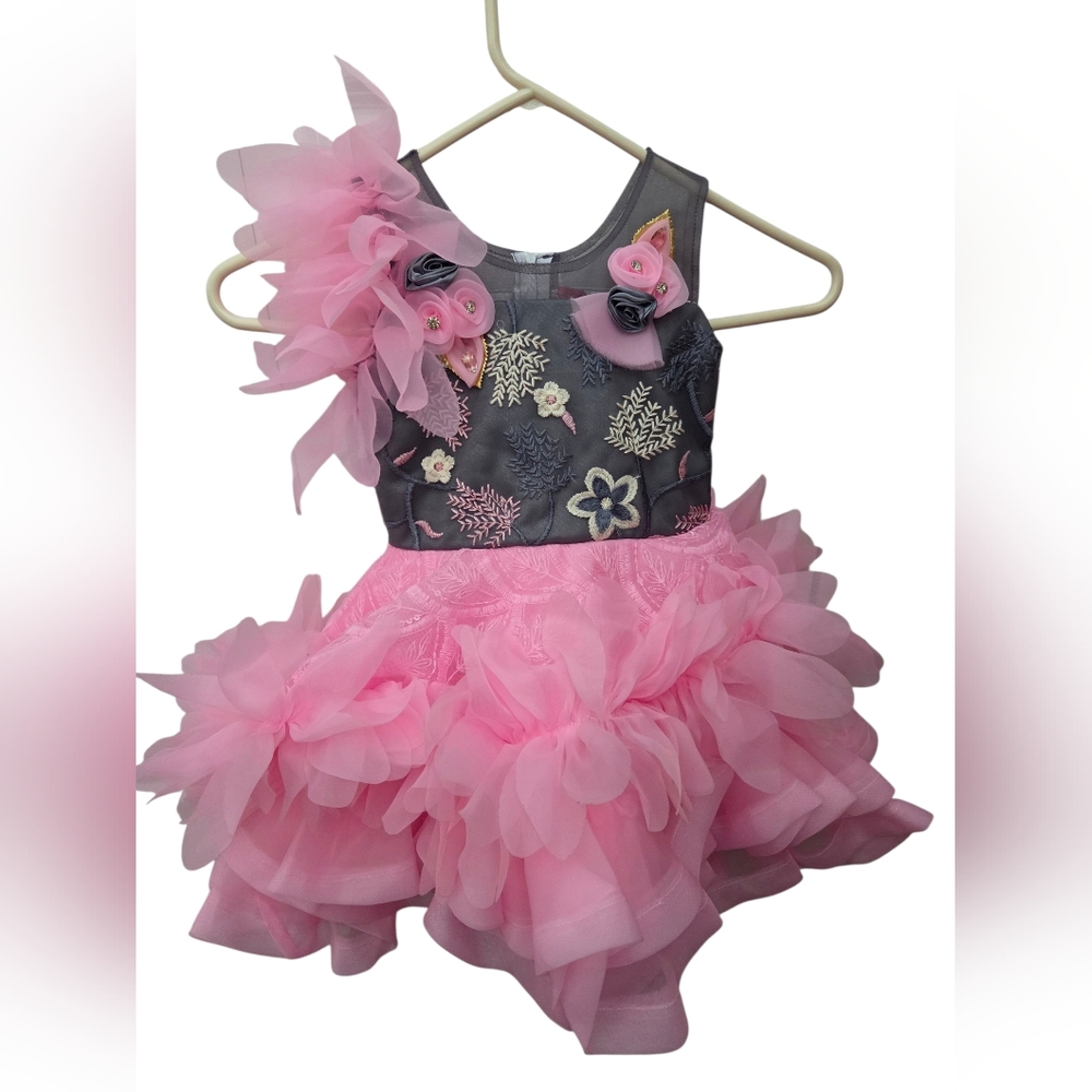 S. Moni Pink Gray Ruffle Girls Dress Size 20 (2-3 Years)